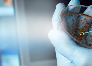 contribuintes para a biomedicina