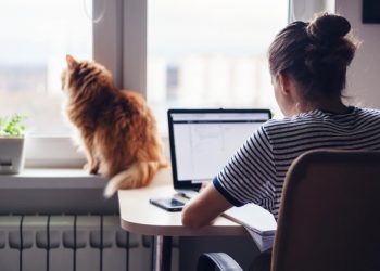 5 carreiras ideais para trabalhar de casa