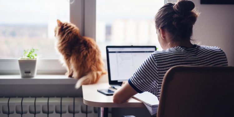 5 carreiras ideais para trabalhar de casa