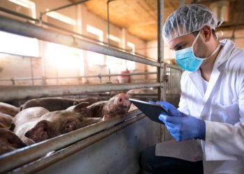 Área de Medicina Veterinária