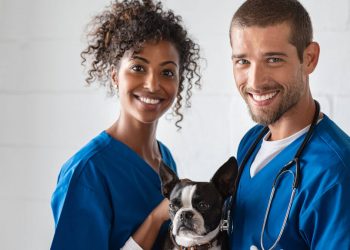 Faculdade de medicina veterinária