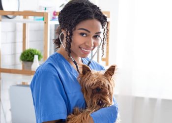 Medicina Veterinária em Juazeiro do Norte