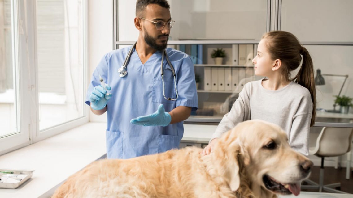 quanto ganha um médico veterinário