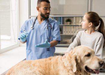 quanto ganha um médico veterinário
