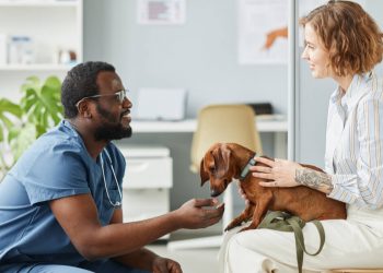ser veterinário