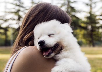 Paixão pelos animais: possibilidades na Medicina Veterinária