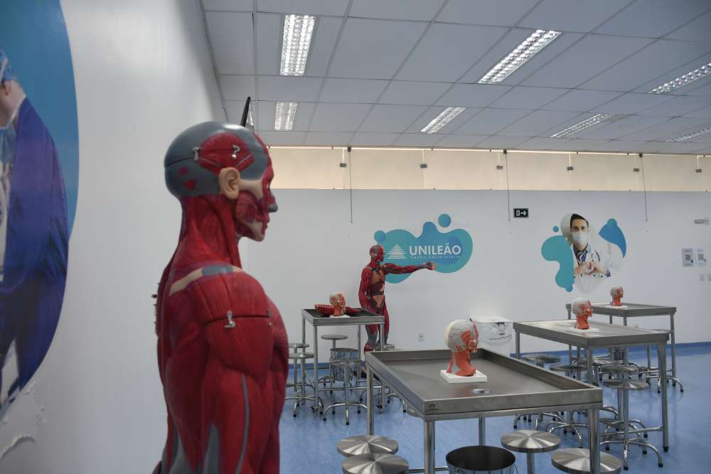 Estrutura Unileão 1