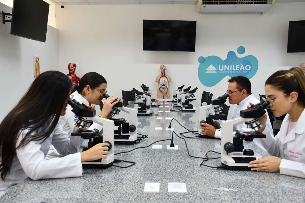 Estrutura Unileão 7