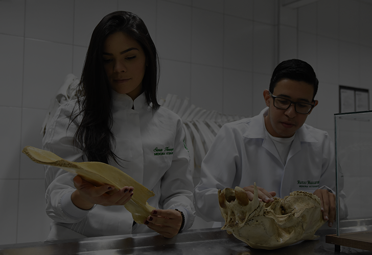 Medicina Veterinária na UNILEÃO