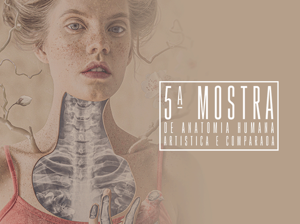 Estudantes da Unileão apresentam trabalhos criativos na 5ª Mostra de Anatomia Humana Artística e Comparada