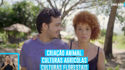 Sistema Agrossilvipastoril - Medicina Veterinária