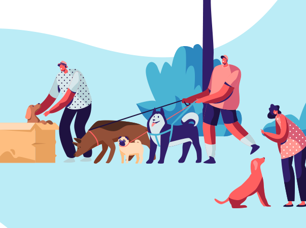 Saiba como cuidar da saúde do seu pet durante o período de isolamento social