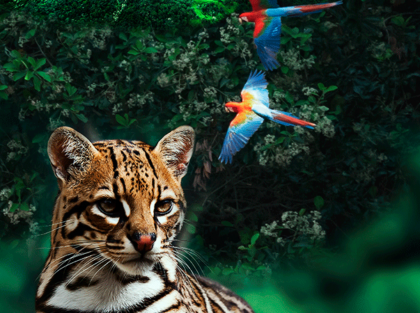 Unileão celebra Dia Internacional da Biodiversidade