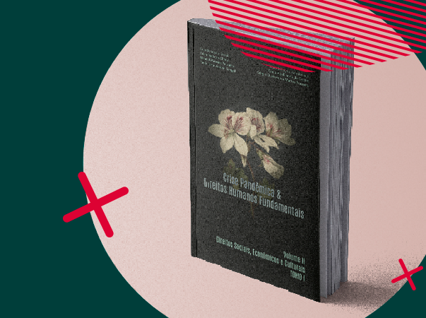 Grupo de pesquisa da Unileão apresenta artigos em seminário internacional de Direitos Humanos