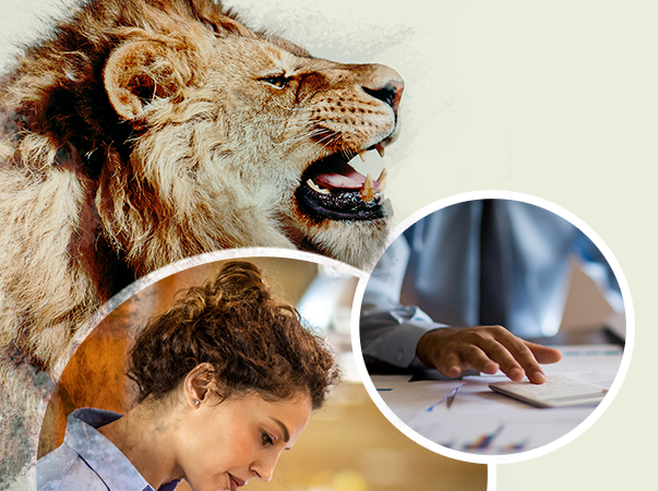 Orientações sobre como fazer a declaração do IRPF