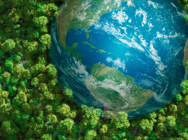 Unileão promove atividades em alusão ao Dia Mundial do Meio Ambiente