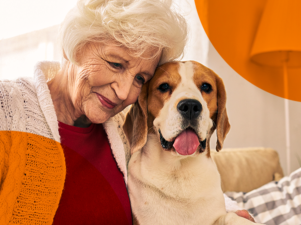 Animais de estimação ajudam pessoas a enfrentar a solidão no isolamento social