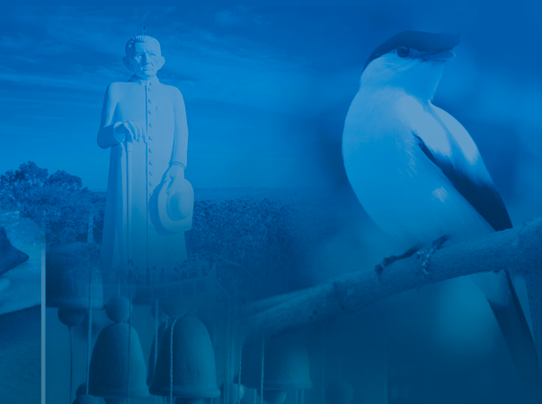 V Congresso Caririense de Enfermagem é cancelado e abre processo de reembolso para inscritos