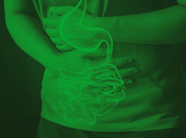 Unileão apoia a campanha Setembro Verde