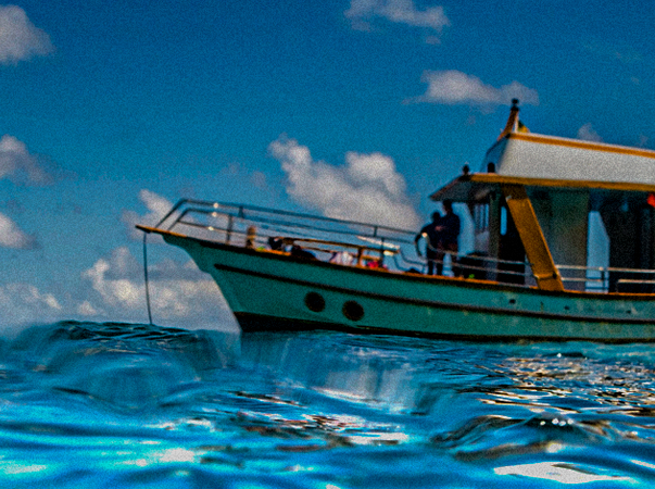 Dia da Amazônia Azul aborda conservação e uso sustentável dos oceanos
