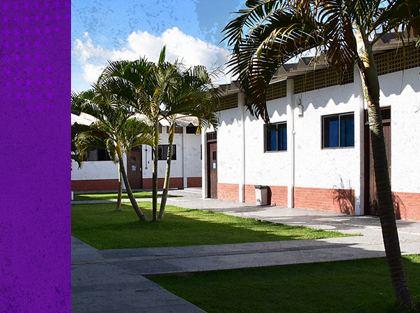 Curso de Enfermagem da Unileão garante conceito de excelência na avaliação do CPC 2019