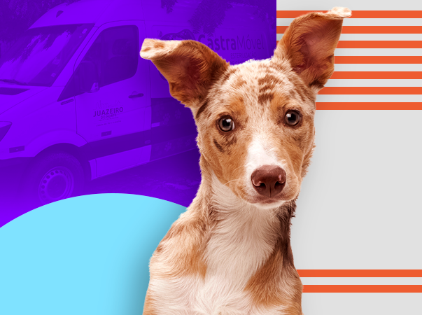 Câmara de Juazeiro do Norte parabeniza e agradece Unileão pelo funcionamento do Castramóvel