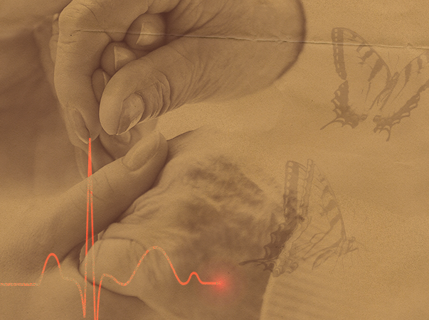 Liga Acadêmica da Unileão promove curso de formação em cuidados paliativos