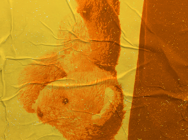 Unileão e SEDEST realizam evento sobre violência sexual contra crianças e adolescentes