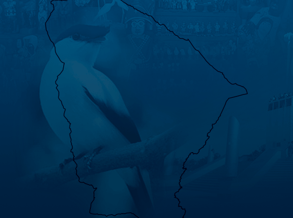 V Congresso Caririense de Enfermagem divulga lista de resumos aprovados