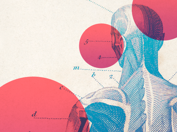 Cursos da Unileão desenvolvem projeto de incentivo à monitoria em Anatomia