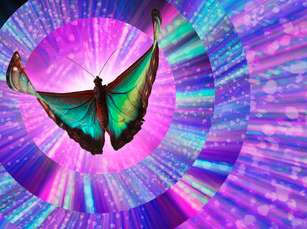 Unileão realiza 33º Encontro Pedagógico em julho