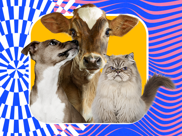 Unileão homenageia médicos veterinários pelo dia 9 de setembro