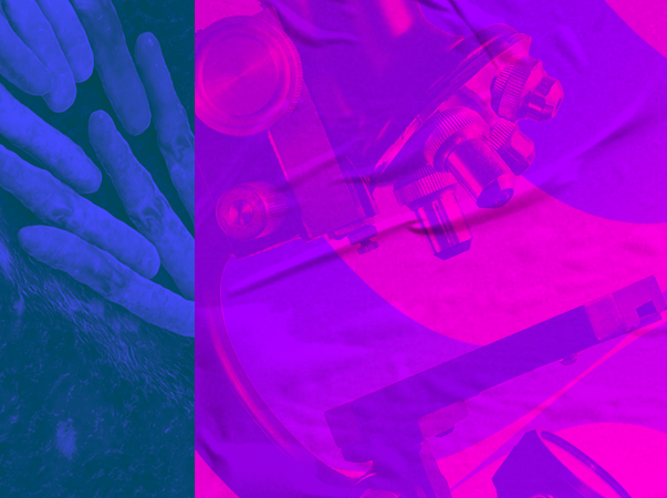 Liga Acadêmica da Unileão realiza curso de treinamento sobre diagnóstico da tuberculose e da hanseníase