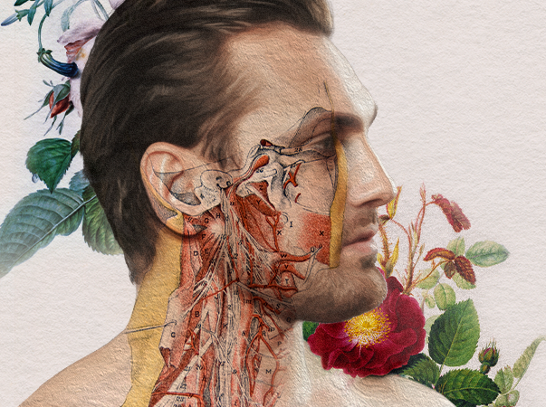 Unileão realiza a VI Mostra de Anatomia Humana Artística e Comparada em novembro