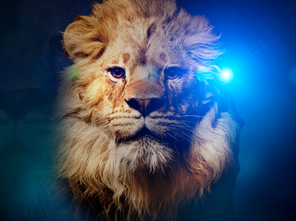 Time Enactus Unileão abre processo seletivo inovador para 2021.2