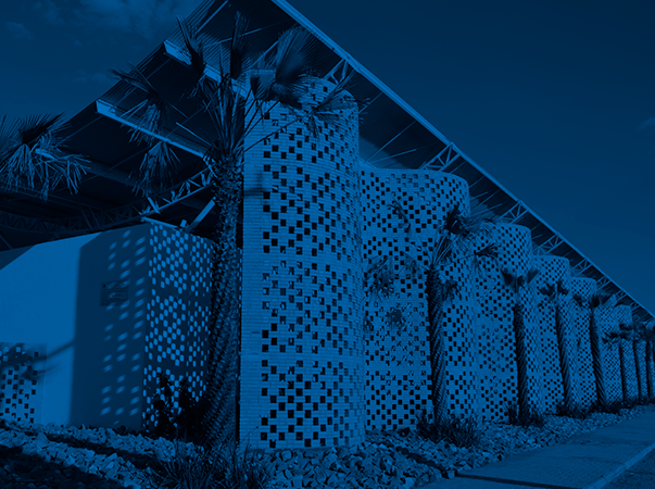 Curso de Psicologia da Unileão oferece apoio psicológico a tutores no Hospital Veterinário da Instituição