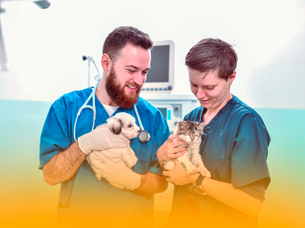 Unileão está com inscrições abertas para Especialização em Clínica Médica e Cirúrgica de Pequenos Animais