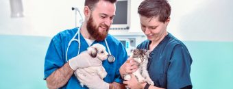 Clínica Médica e Cirúrgica de Pequenos Animais