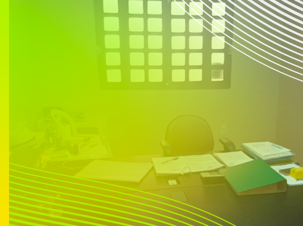 Alunos do Núcleo Integrador dos cursos de Gestão e Negócios da Unileão promovem consultorias para ONGs