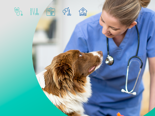 Hospital Veterinário da Unileão divulga inscrições deferidas da seleção para Aprimoramento Prático