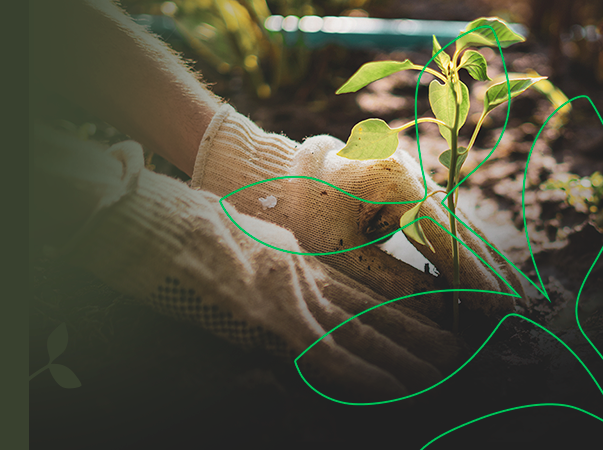 Combate à Desertificação e à Seca é debatido neste dia 19 de junho