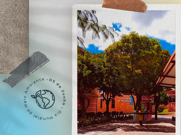 Cursos da Unileão realizam ações em alusão ao Dia Mundial do Meio Ambiente