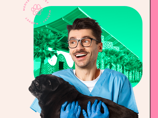 Evento Médico Veterinário por um dia da Unileão mostra prática da profissão para interessados