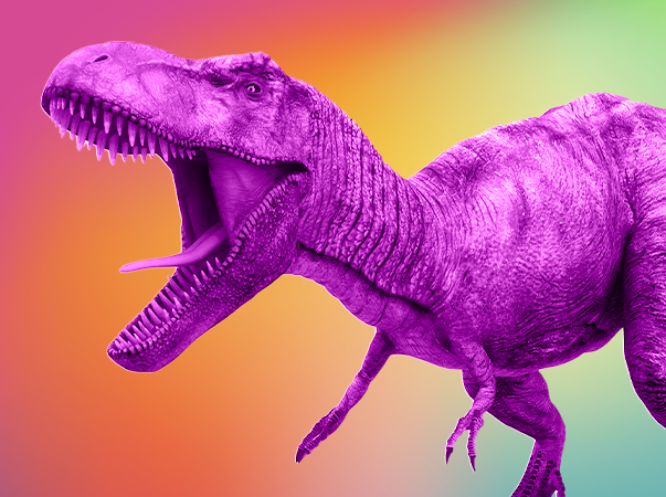 Time Enactus da Unileão divulga edital de processo seletivo para novos membros