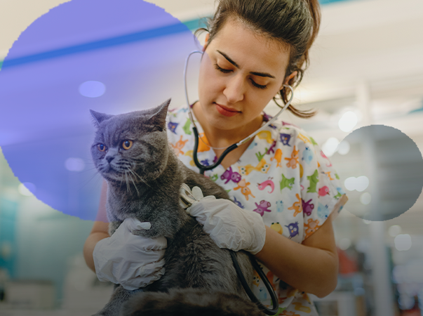 Unileão oferta curso de Terapias Complementares na clínica de pequenos animais