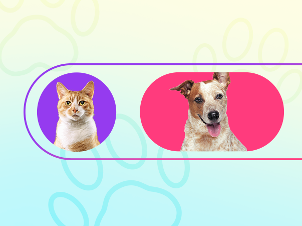 Unileão promove campanha Conviva Bem e alerta para regras de convivência com os animais dos campi