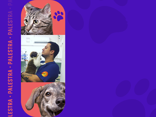 Pós-graduação da Unileão oferta palestra sobre manejo das afecções pleurais em cães e gatos