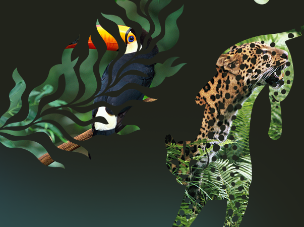 Unileão reforça a importância da preservação e da sustentabilidade no Dia Mundial do Meio Ambiente