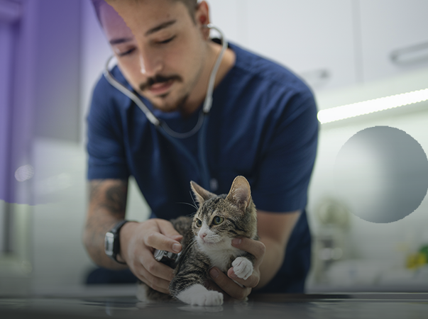 Unileão oferta curso de extensão de Clínica Médica de Pequenos Animais