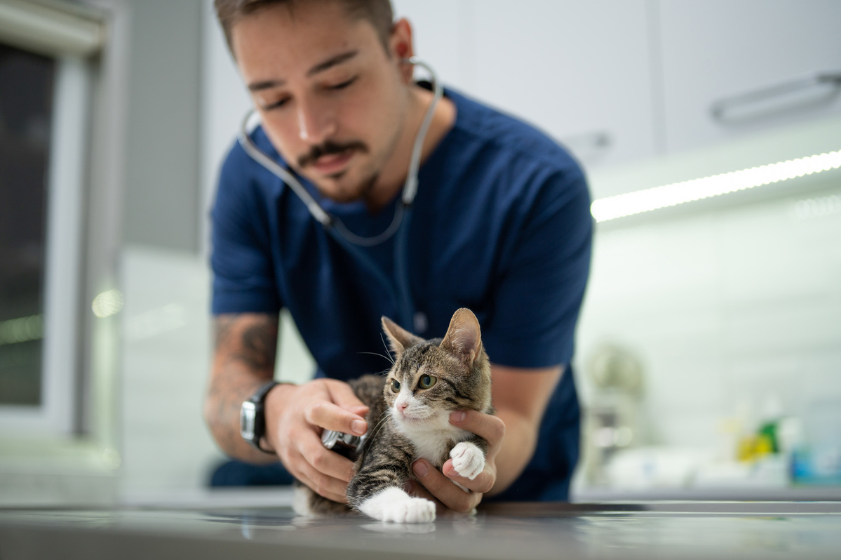 Curso Prático de Rotina na Clínica de Pequenos Animais - TURMA III